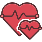 Cardiovascular