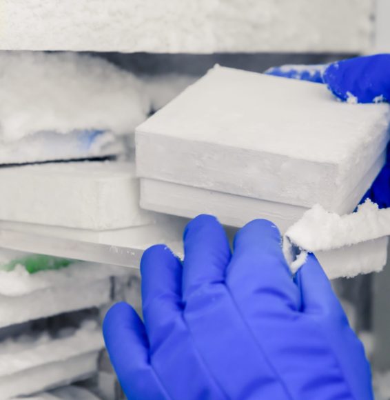A closeup shot of a laboratory worker incubating corona viral samples